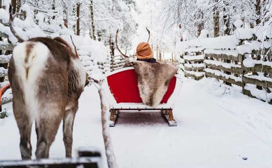 Lapland ve Kuzey Işıkları