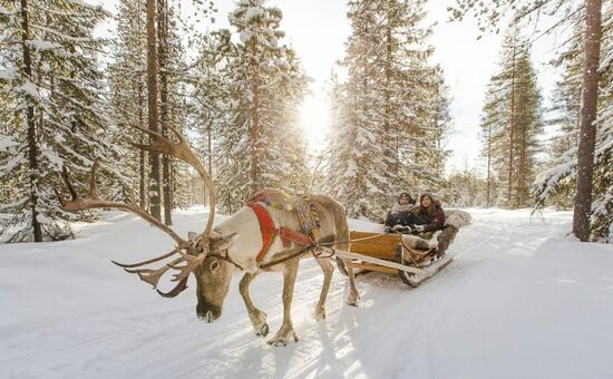 Lapland ve Kuzey Işıkları