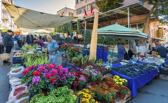 Günübirlik Tire &  Şirince Turu