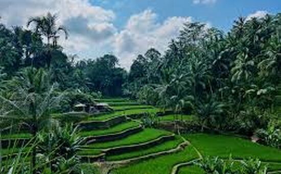 TROPİKAL ADALAR Bali (3gece) – Ubud (1gece) – Singapur (1gece)