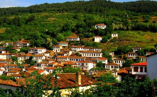 Günübirlik Tire &  Şirince Turu