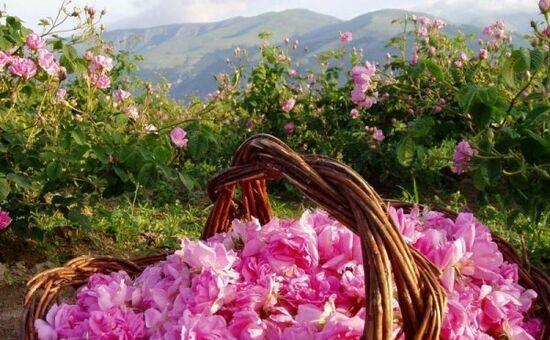 Isparta Gül Bahçeleri-   Salda Gölü - Sagalassos Turu
