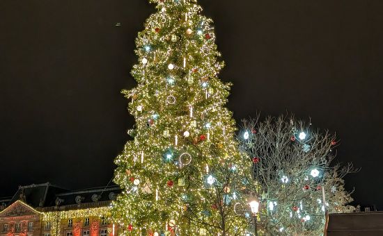 Büyük Avrupa Noel Pazarları Turu