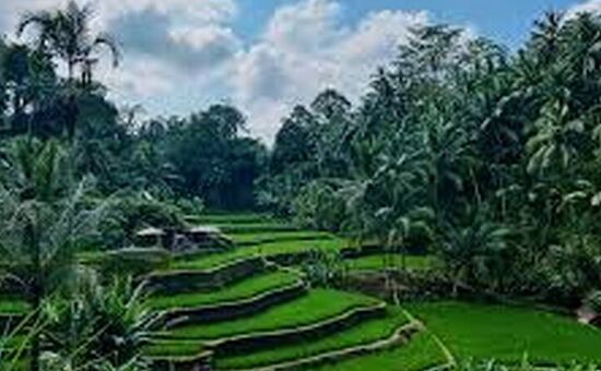  BALİ (3GECE) & UBUD (2GECE)