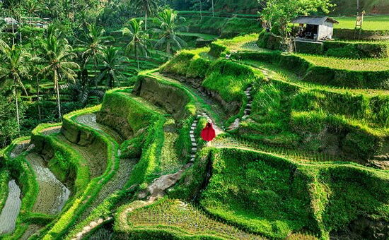 BALİ & SİNGAPUR TURU 