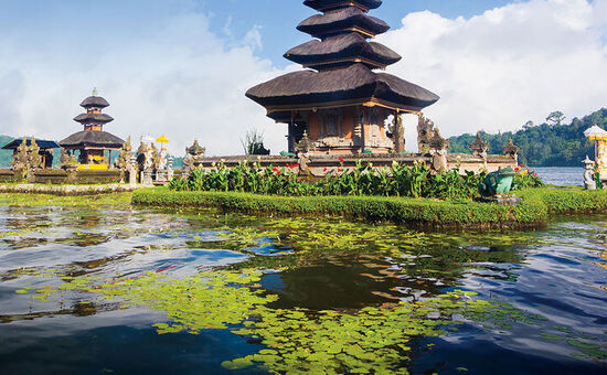 Tropikal Ada: Bali Turu 