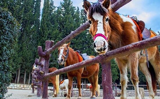 ÇİÇEKLİKÖY-NAZARKÖY  TURU 